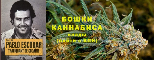 марки lsd Бородино